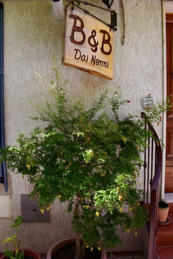 Dai Nonni, B&B A Chieti Kültér fotó